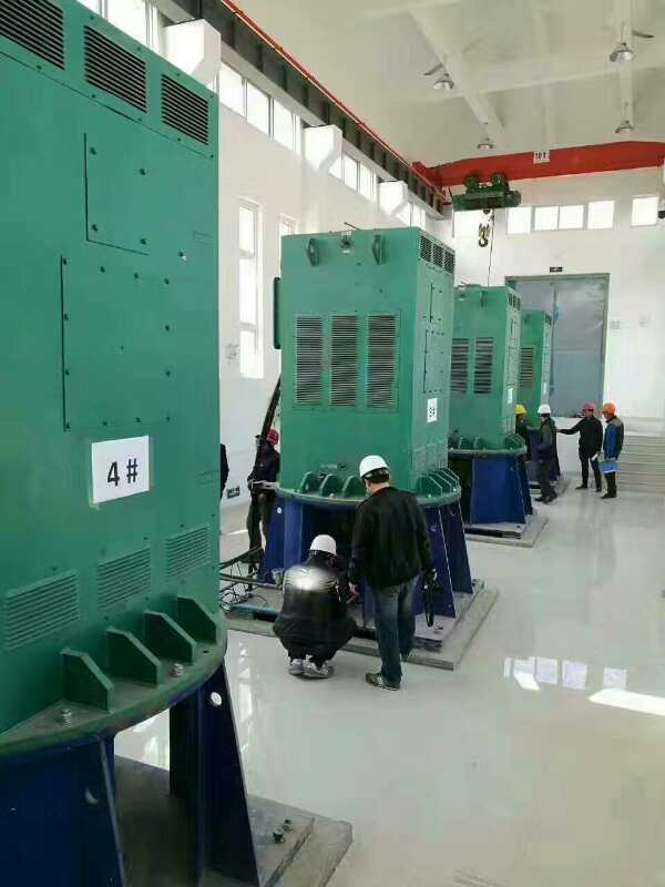 光坡镇某污水处理厂使用我厂的立式高压电机安装现场